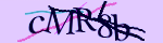 Enter the character string shown in the picture