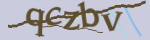 Enter the character string shown in the picture